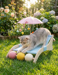 Sdraio per Gatti 3 in 1 con Ombrellino