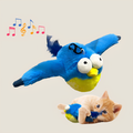 Uccello volante per gatti