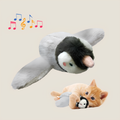 Uccello volante per gatti